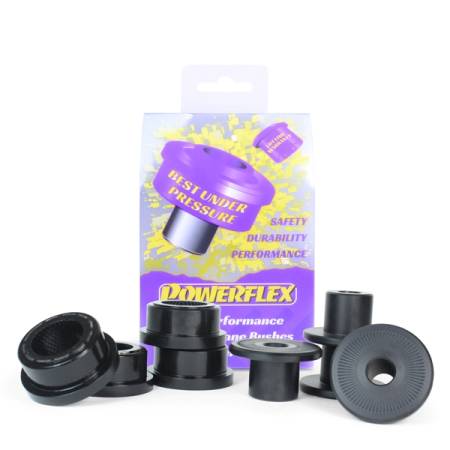 Powerflex USA - Powerflex Aston Martin Front Wishbone Lower Bushings
