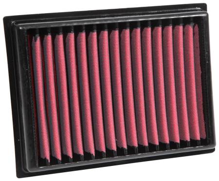 AEM Induction - AEM 13-20 Nissan Sentra 1.8L DryFlow Air Filter