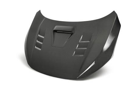 Seibon Carbon - Seibon 17-18 Honda Civic Type-R TS-Style Carbon Fiber Hood