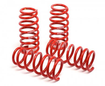 H&R - H&R 04-08 Acura TL 6 Cyl Race Spring
