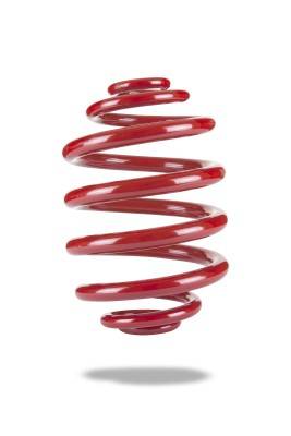 Pedders Suspension - Pedders 2004-2006 Pontiac GTO Rear Coil Spring Stock Height - Single