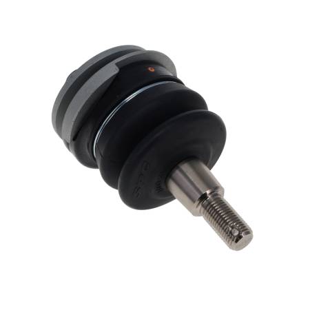 SPC Performance - SPC Performance Acura Rear Adjustable