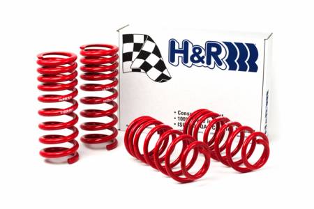 H&R - H&R 94-95 Ford Mustang/Mustang Cobra V8 Race Spring
