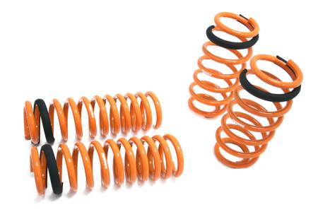 Megan Racing - Megan Lowering Springs Dodge Charger 6-10