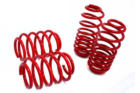 Megan Racing - Megan Lowering Springs - Euro-Version for Audi TT 08-14