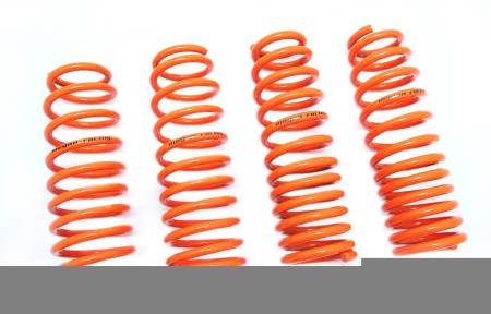 Megan Racing - Megan Lowering Springs Chevrolet Astro Van 89-02 (Front Springs Only)