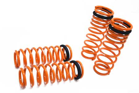 Megan Racing - Megan Lowering Springs Honda Accord 90-97