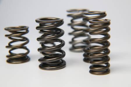 Ferrea Racing Components - Ferrea Acura/Honda K20 Chrome Silicon Dual Valve Spring - Set of 16