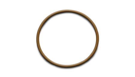 Vibrant Performance - Vibrant Performance Replacement O-Ring for 2.5in Weld Fittings (Part #12545)