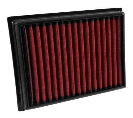 AEM Induction - AEM 08 Nissan Sentra 2.5L DryFlow Air Filter