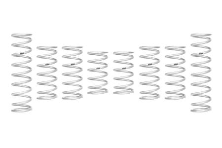Eibach - Eibach 22-23 Polaris RZR Pro-UTV - Stage 3 Performance Spring System (Set Of 8 Springs)