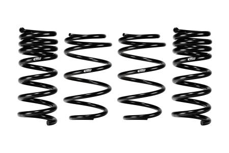 Eibach - Eibach 24+ Ford Mustang GT Coupe 5.0L RWD S650 Performance Pack w/ Magneride