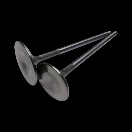 Brian Crower - Brian Crower Dodge SRT-4 - Triple Groove 29.5mm Exhaust Valves