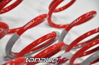 TANABE & REVEL RACING PRODUCTS - Tanabe DF210 Lowering Springs 10-13 for Toyota Prius - Image 3