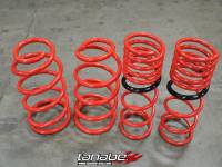 TANABE & REVEL RACING PRODUCTS - Tanabe NF210 Lowering Springs 10-11 Mazda Mazdaspeed 3 - Image 1