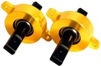 BLOX Racing - BLOX Racing Rear Trailing Arm Bushing Kit Gold - 88-00 Honda Civic / 90-01 Acura Integra - Image 2