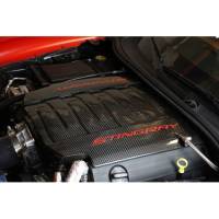 APR Performance - APR Performance Chevrolet Corvette C7 Engine Plenum Cover 2014-Up - Image 2