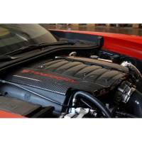 APR Performance - APR Performance Chevrolet Corvette C7 Engine Plenum Cover 2014-Up - Image 3