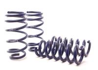 H&R - H&R 11-14 Dodge Charger RT (2WD) RT MAX V8 Sport Spring - Image 2