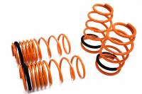 Megan Lowering Springs Chevrolet Cavalier 95-02