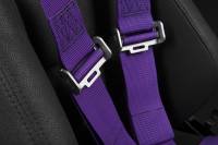 BRAUM RACING SEATS & MORE - BRAUM Racing 5 Point 3" SFI Approved Racing Harness - Purple - Each - Image 4