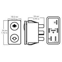 SPAL - SPAL Power Window Accessories: 3 SWITCH KIT - ILLUM W/FRAMES - Image 1