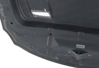 Seibon Carbon - Seibon TSII-style carbon fiber hood for 2008-2010 Lexus ISF - Image 3