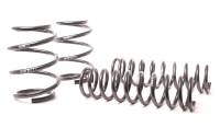 H&R - H&R 96-03 BMW 540i E39 Sport Spring (Non Touring & w/o Sport Susp.) - Image 2