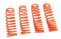 Megan Lowering Springs Subaru WRX 02-03