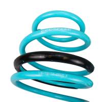 Godspeed Project - Godspeed Project Traction-S Lowering Springs Toyota Sienna 2011-2017 (XL30) - Image 3