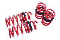 Megan Lowering Springs Audi R8 08-15 Coupe/ Convertible