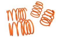 Megan Lowering Springs Dodge Neon 95-99