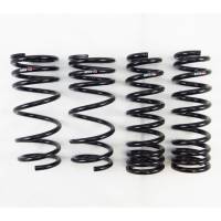 RS-R Superdown Lowering Springs Lexus IS250/350 RWD/AWD 2014-2020 - GSE30/GSE31