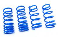 Megan Racing - Megan Lowering Springs Lexus GS300/350/430 06-11 - Image 1