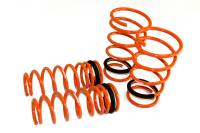 Megan Racing - Megan Lowering Springs SCION TC 2005-10 - Image 1