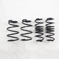 RS-R Superdown Lowering Springs Toyota Prius V 2011+ ZVW40W