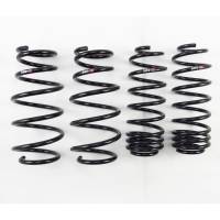 RS-R Down Sus Lowering Springs Honda Fit 2009 to 2013 - GE8