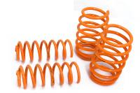 Megan Lowering Springs Nissan Sentra/SE-R 07-12