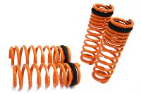 Megan Lowering Springs Honda 92-96, 97-01 Prelude