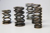 Ferrea Racing Components - Ferrea Acura/Honda K20 Chrome Silicon Dual Valve Spring - Set of 16 - Image 1