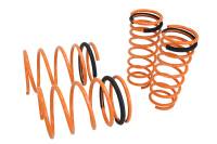 Megan Lowering Springs Nissan 240SX 95-96