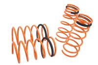 Megan Lowering Springs Mazda Protege 99-03