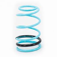 Godspeed Project - Godspeed Project Traction-S Lowering Springs Nissan Sentra (B15) 2000-06 - Image 3