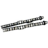 BLOX Racing - BLOX Racing Type-B Street/Strip Camshafts for K20A2 - Image 1