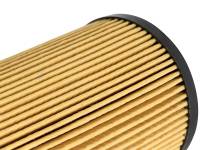 aFe Power (Advanced FLOW Engineering) - aFe ProGuard D2 Fluid Filters Oil F/F OIL Ford Diesel Trucks 03-10 V8-6.0/6.4L (td) - Image 4