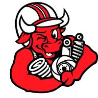 Pedders Suspension - Pedders Heavy Duty Front Coil Spring 2005-2012 Chrysler LX - Image 2