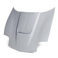 Anderson Composites 97-04 Chevrolet Corvette C5 Type-TM Fiberglass Hood