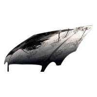 VIS Racing - VIS Racing Carbon Fiber Hood OEM Style for Lexus GS300/400 4DR 98-05 - Image 1