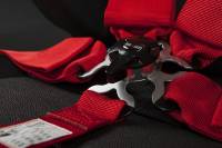 BRAUM Racing 5 Point 3" SFI Approved Racing Harness - Red - Each