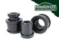 Powerflex USA - Powerflex BMW E46 M3 Front Control Arm Bushing (Heritage) - Image 1